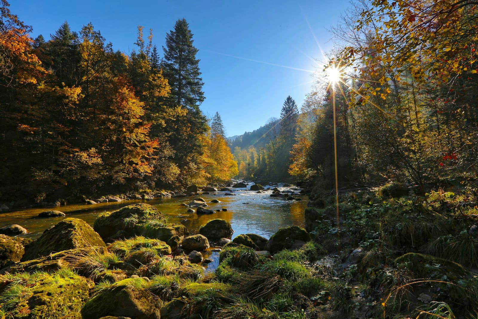 RV vs. Cabin vs. Tent: Which Camp Everyday Experience Is Right for You?