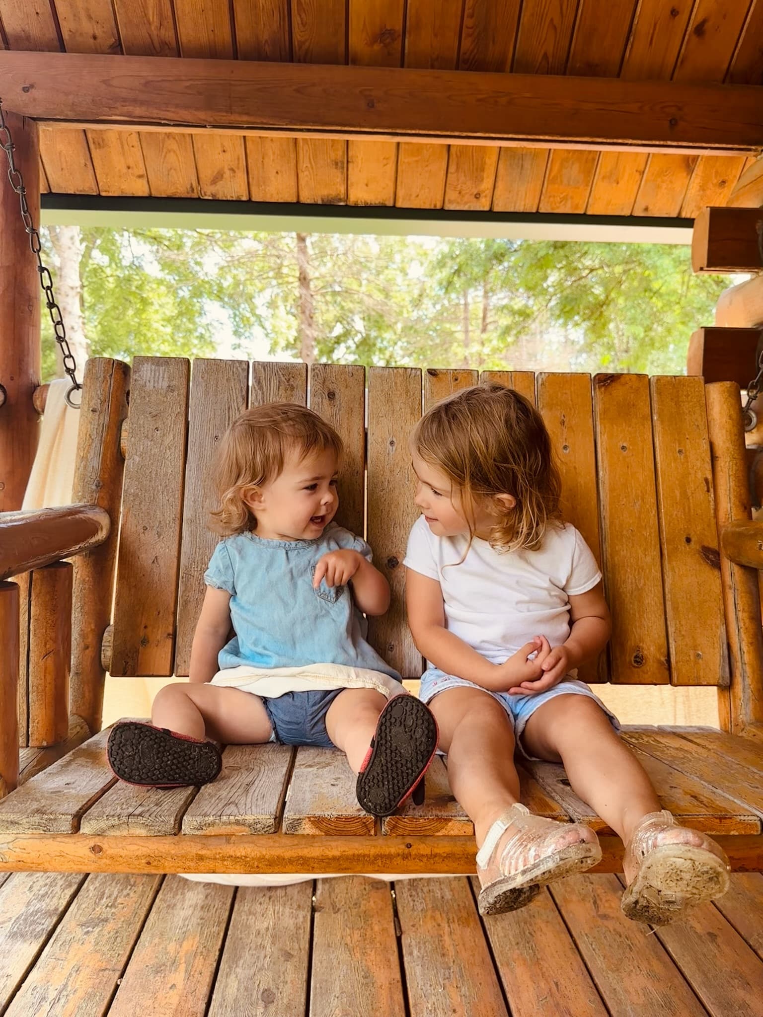 Cabin Rentals